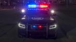 Dodge Charger Pursuit 2017 года